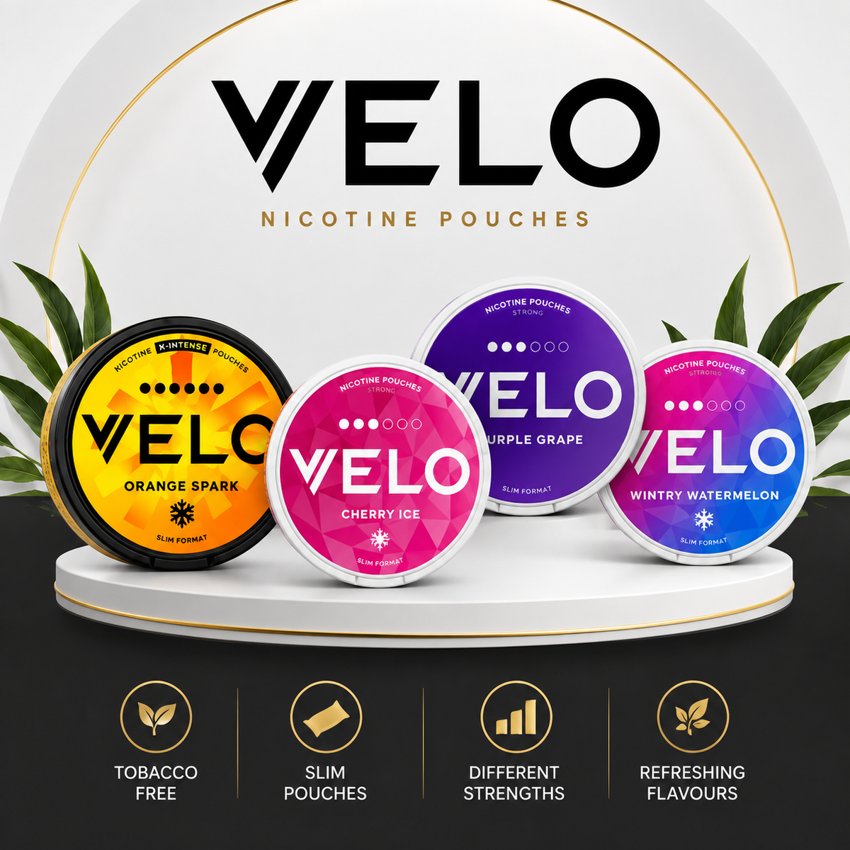 VELO Nicotine Pouches